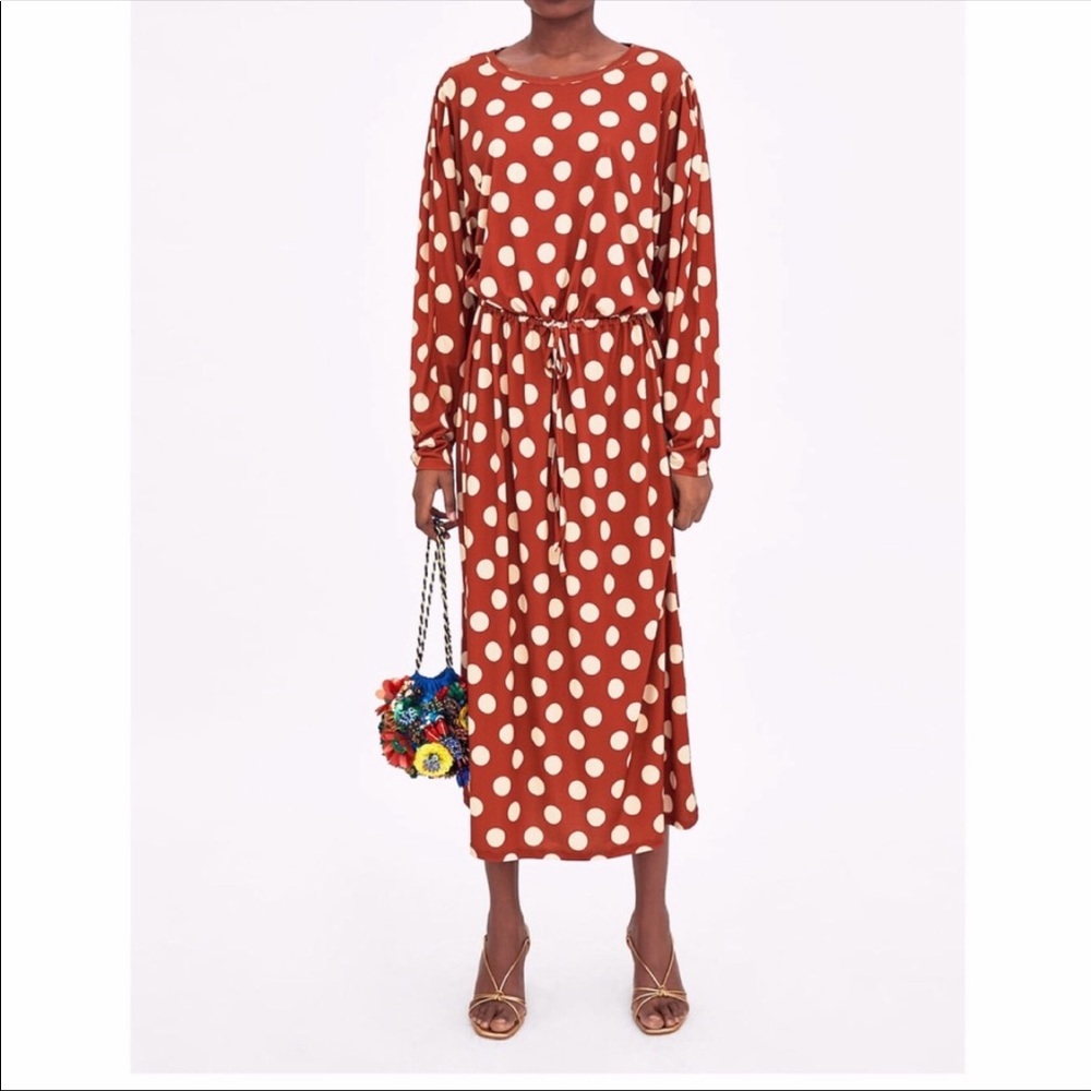 Zara polka dress